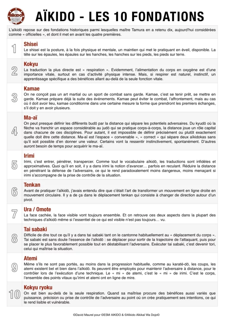 Les 10 fondations selon Maître Tamura - AIKIDO ESM