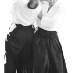 Irimi Nage - AIKIDO ESM