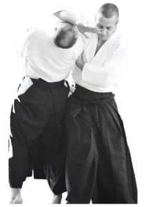 Irimi Nage - AIKIDO ESM
