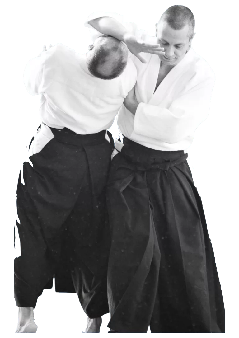 Irimi Nage - AIKIDO ESM