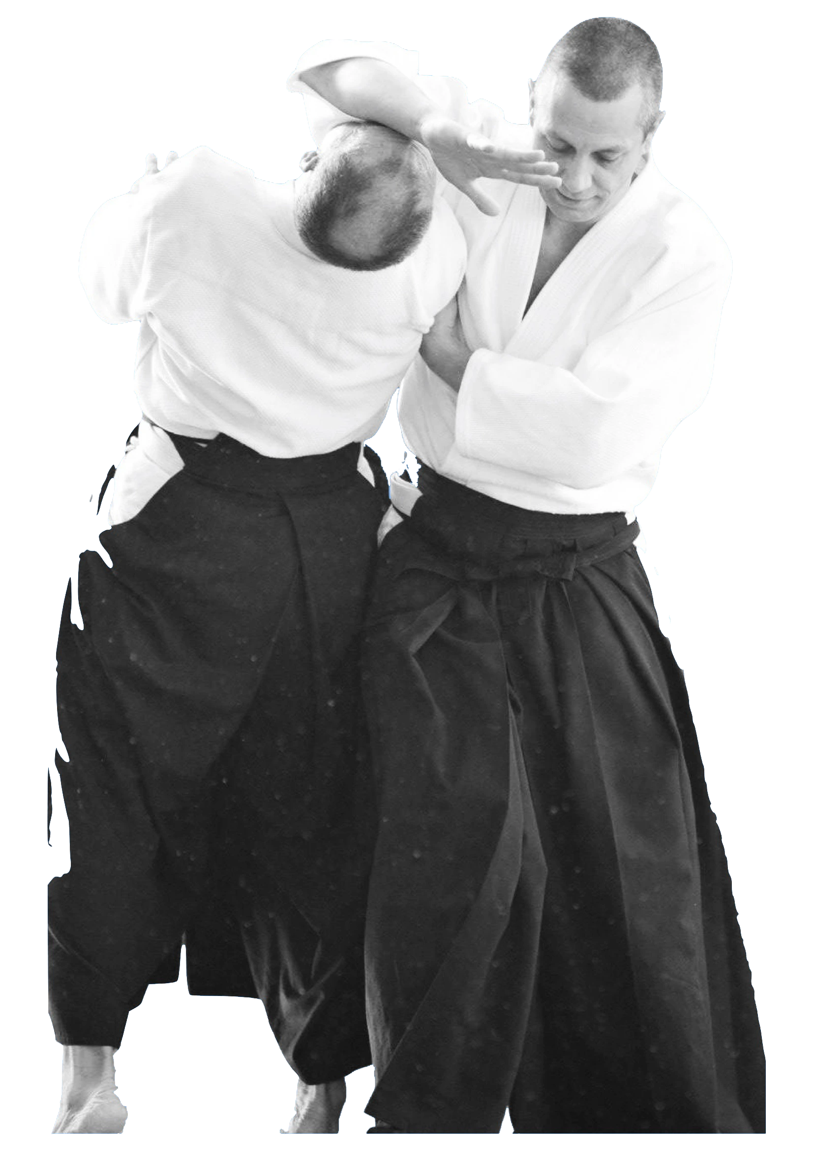 Irimi Nage - AIKIDO ESM