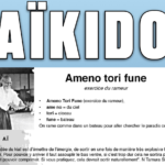 AIKIDO - Ame no Tori Fune - AIKIDO ESM