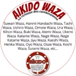 AIKIDO WAZA - AIKIDO ESM