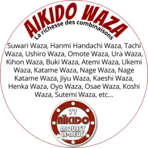 AIKIDO WAZA - AIKIDO ESM