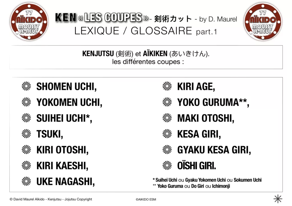 Coupes au Ken 1 - Buki-Waza by David Maurel pour AIKIDO ESM