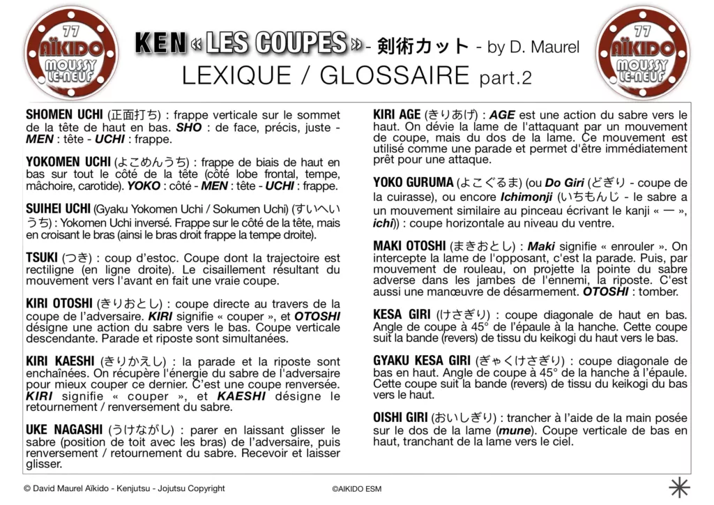Coupes au Ken 2 - Buki-Waza by David Maurel pour AIKIDO ESM